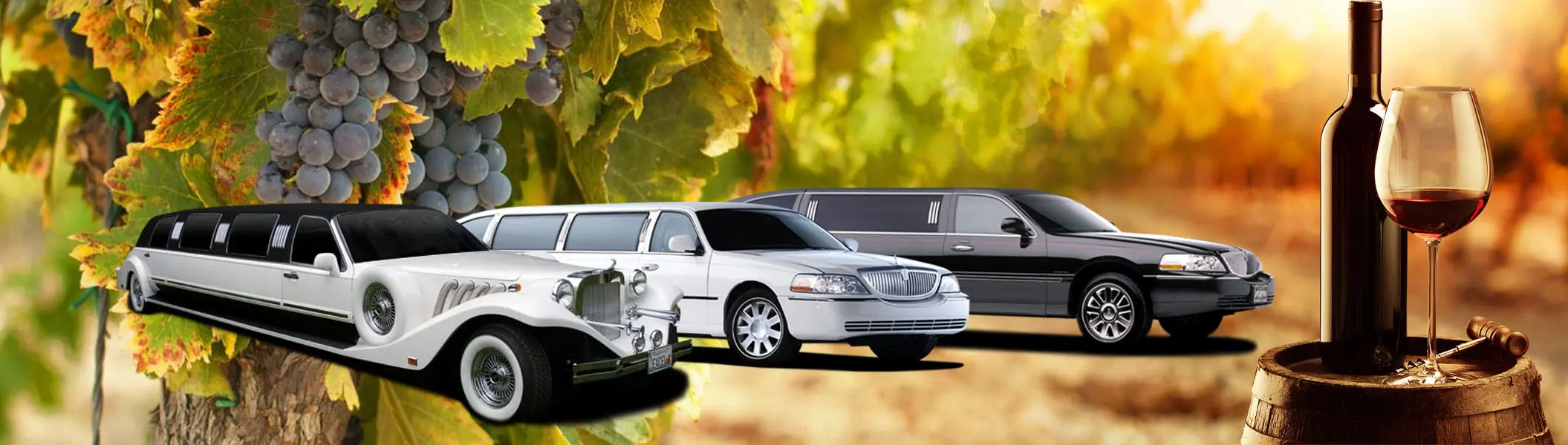 Orange County Limousine Specials