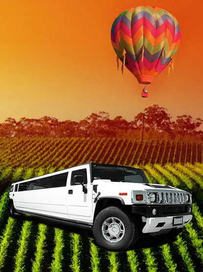 Temecula Wine Tours Limo